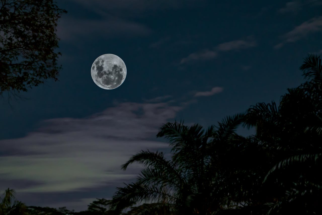 Crafting Captivating Headlines: Your awesome post title goes here Serene view of a full moon illuminating a tropical forest at night in Indonesia.